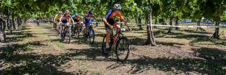 10° MTB Tra le Vigne del Ponte